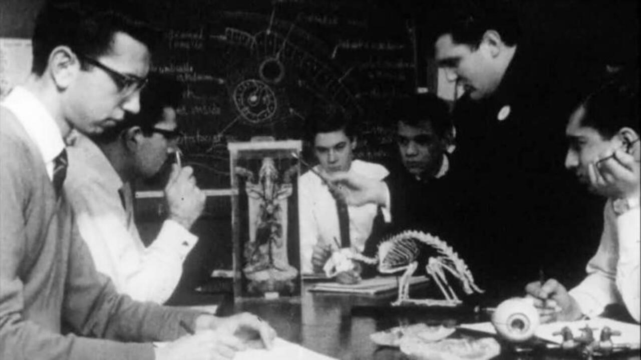 Comprehensive School 1962 movie scene