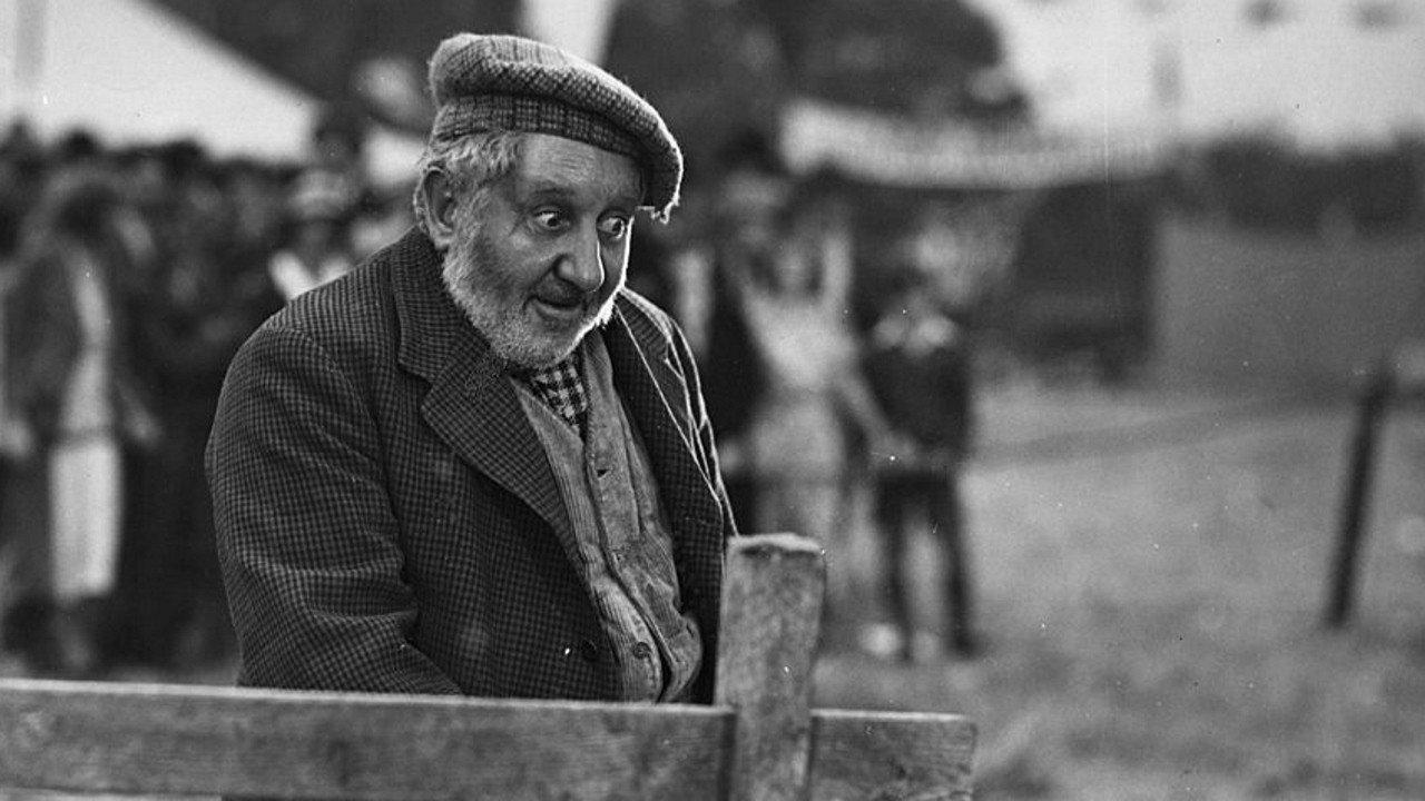 Owd Bob 1938 movie scene