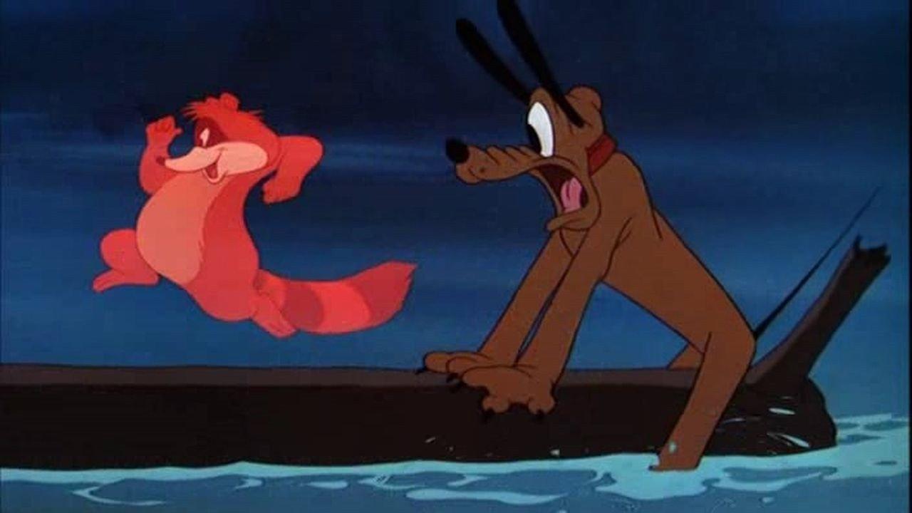 R'Coon Dawg 1951 movie scene