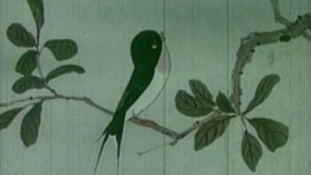 The Little Swallow 1960 movie scene