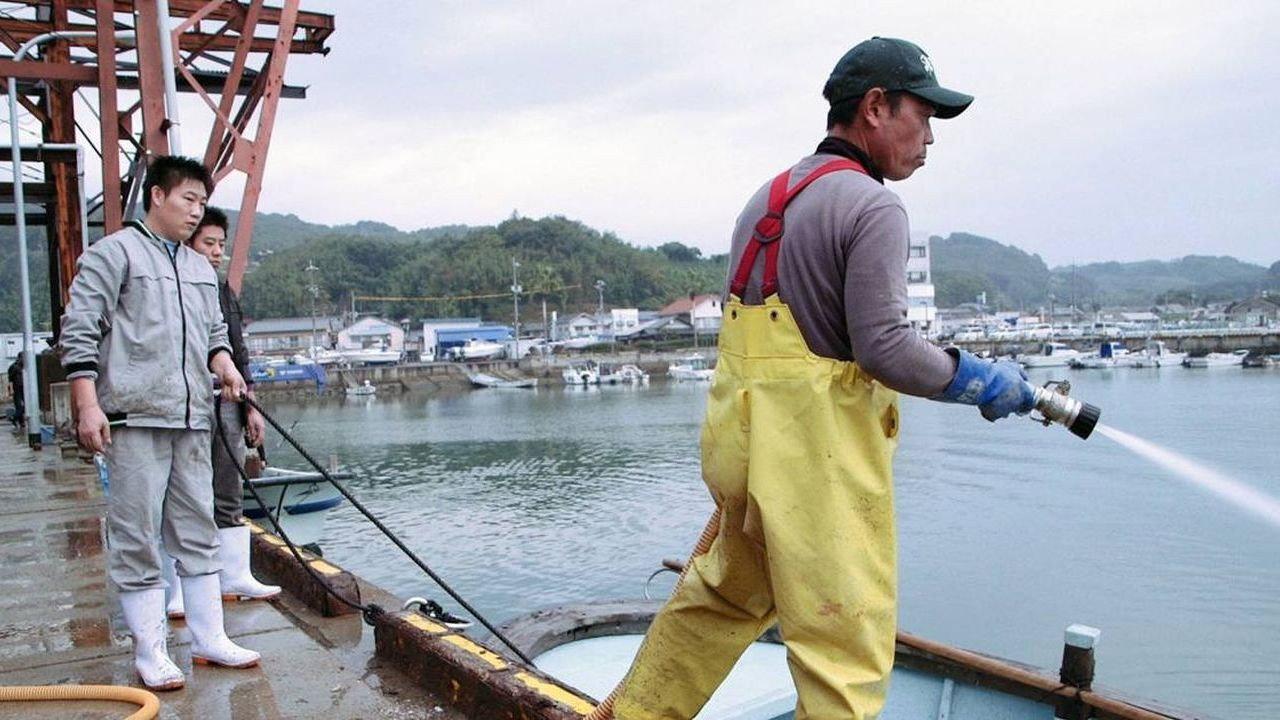 Oyster Factory 2015 movie scene
