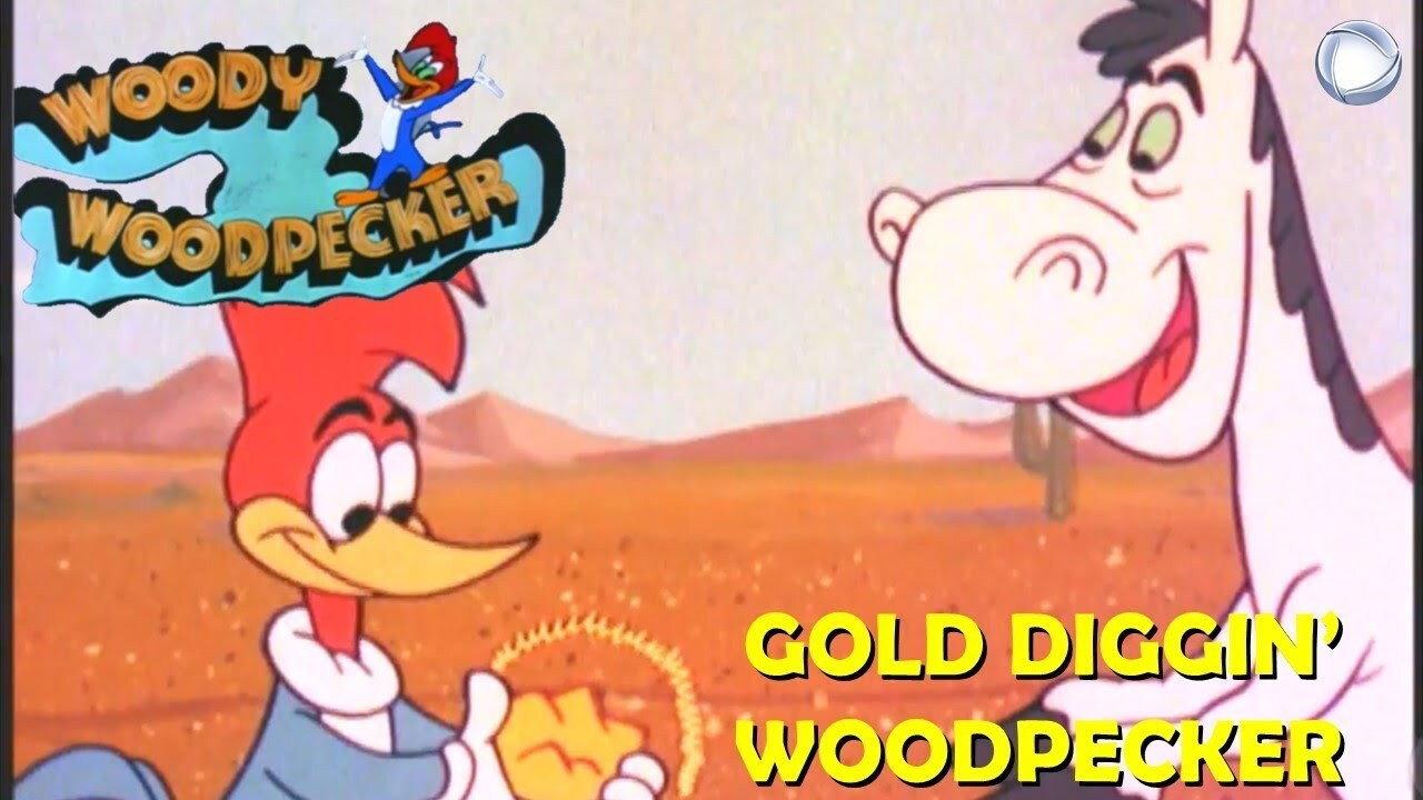 Gold Diggin' Woodpecker 1972 movie scene