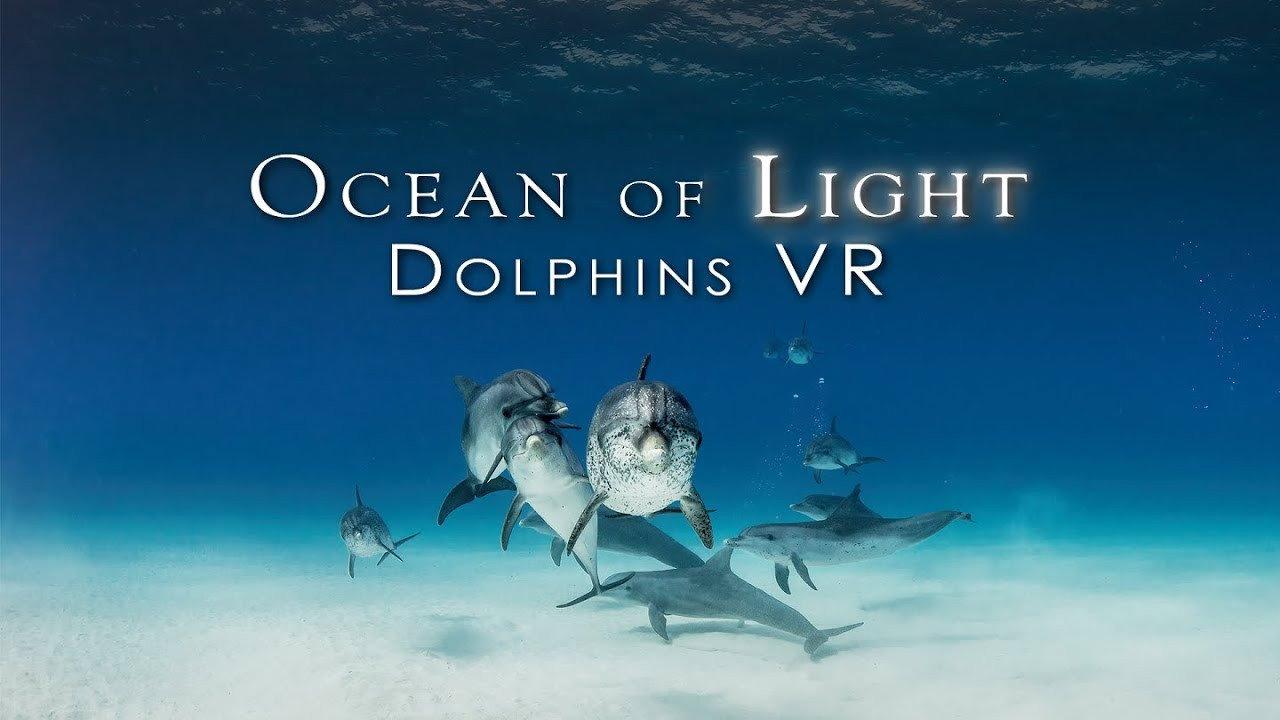 Ocean of Light - Dolphins VR 2023 movie scene