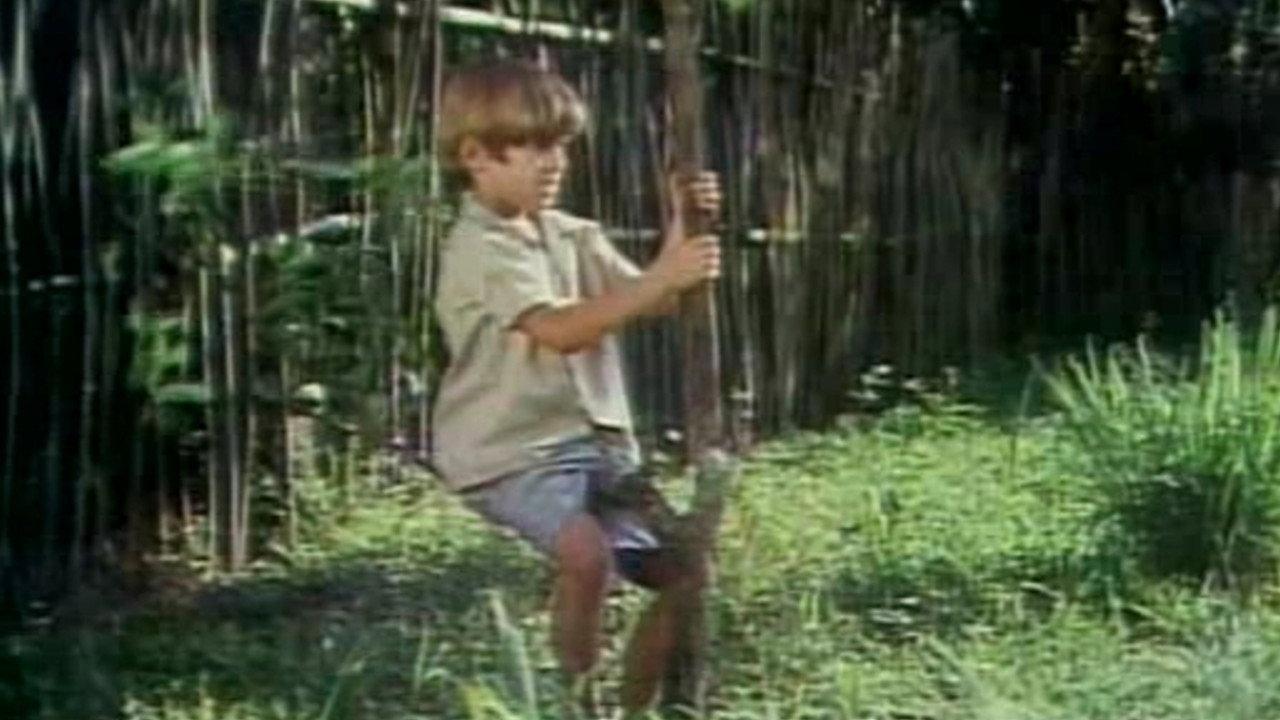 My Sweet Orange Tree 1970 movie scene