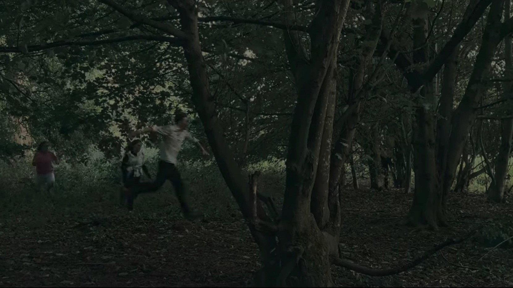 Destination North 2026 movie scene