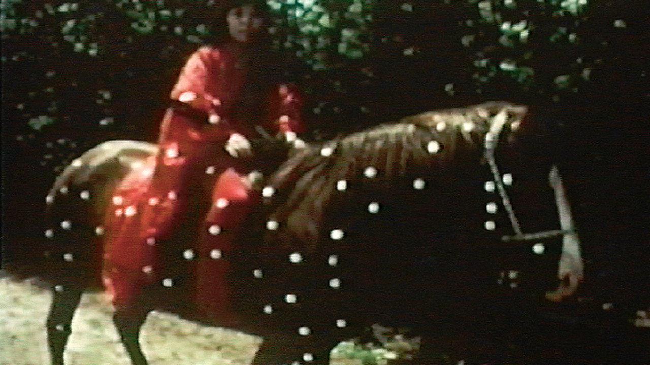 Kusama's Self-Obliteration 1967 movie scene