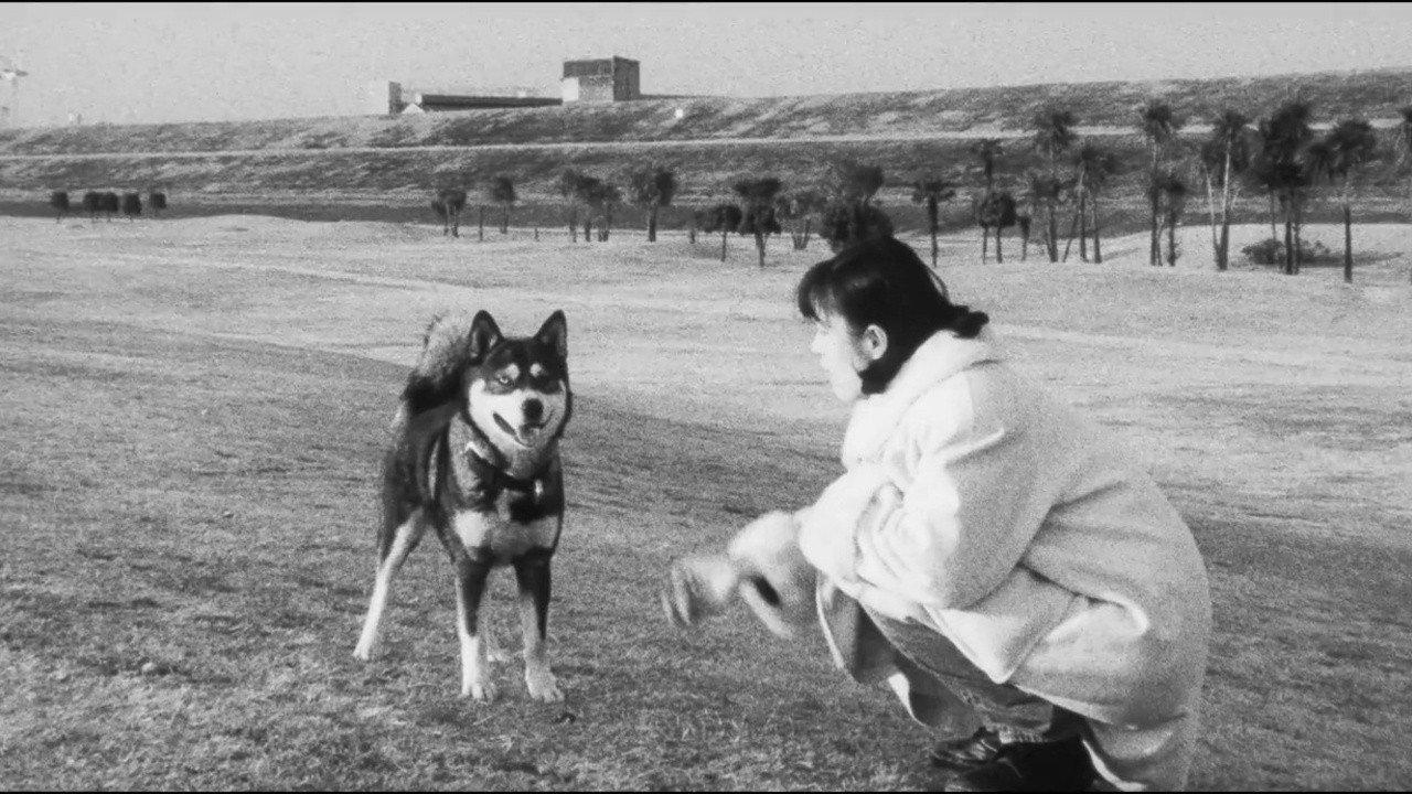 Dog 2003 movie scene