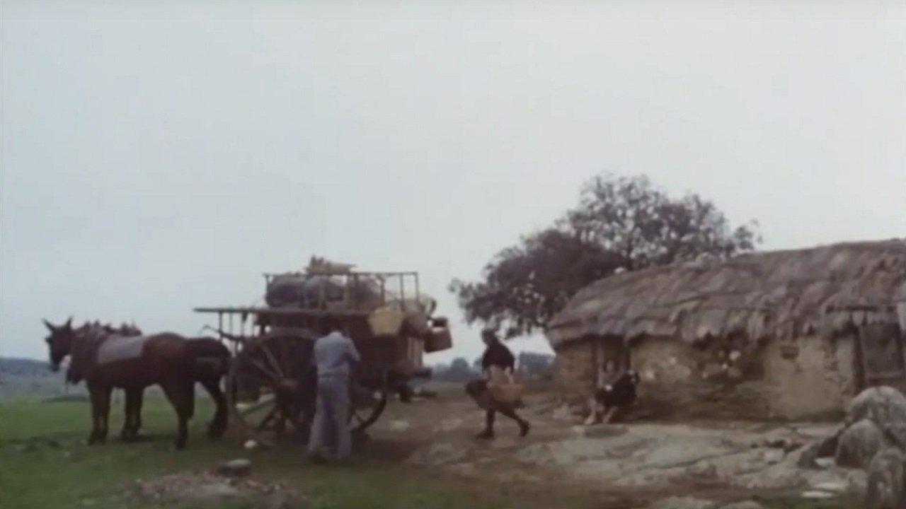 The Holy Innocents 1984 movie scene