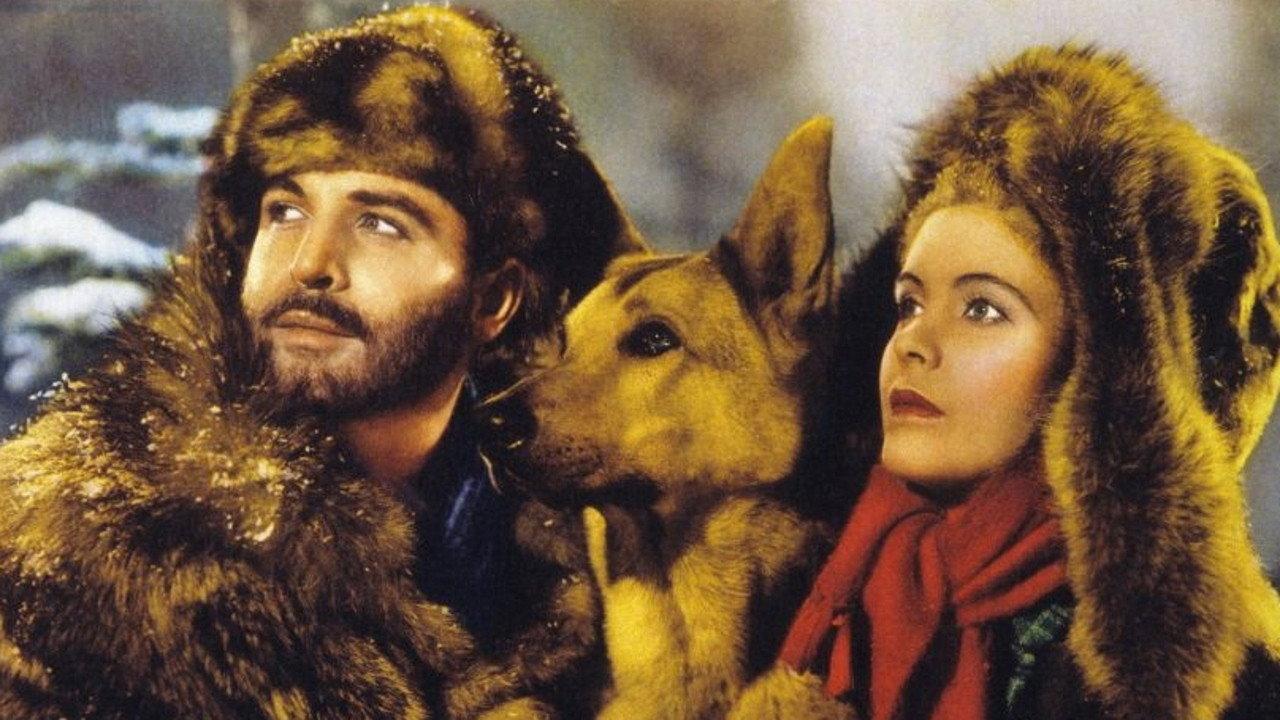 White Fang 1936 movie scene