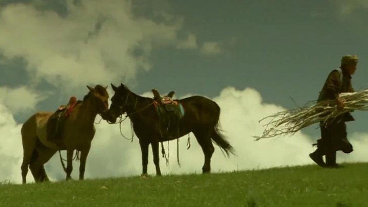 The Horse Trainer 2009 movie scene
