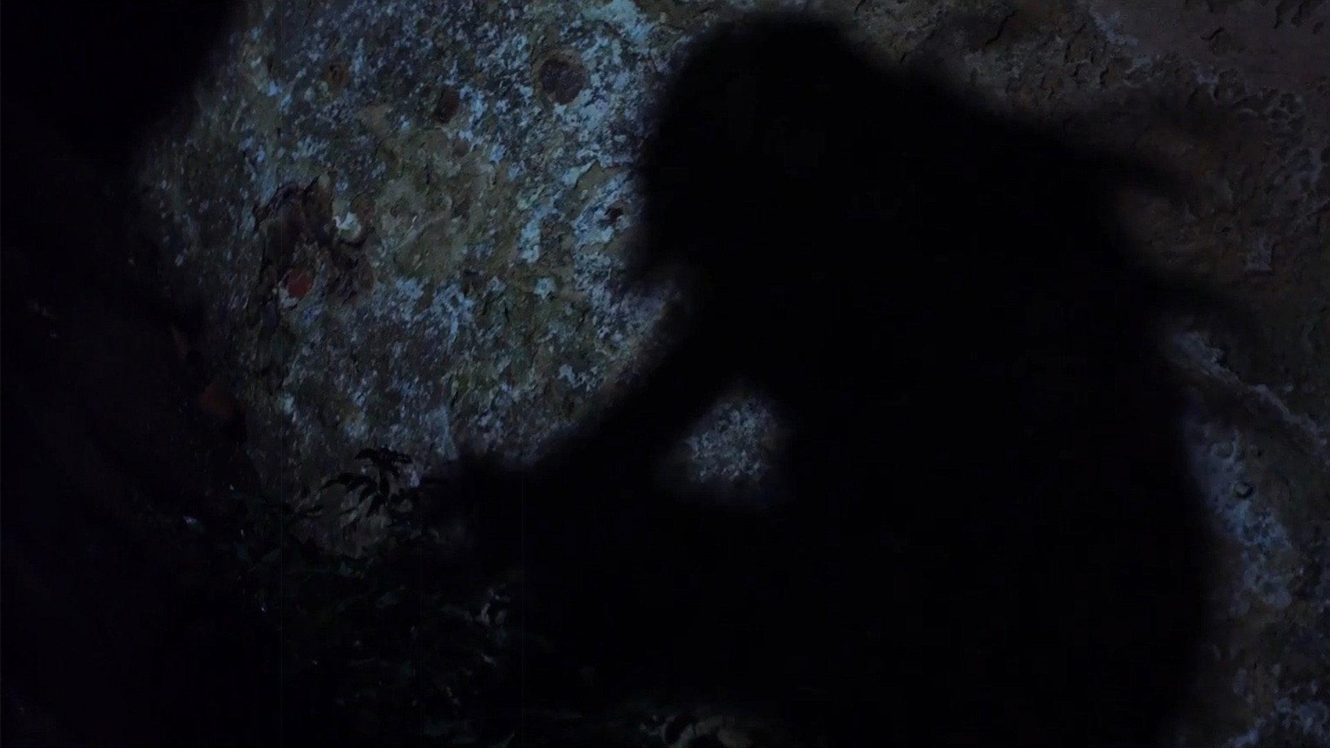 A Dark Path 2020 movie scene