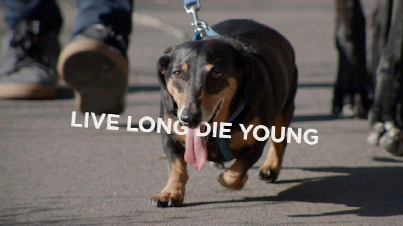 Live Long Die Young 2016 movie scene