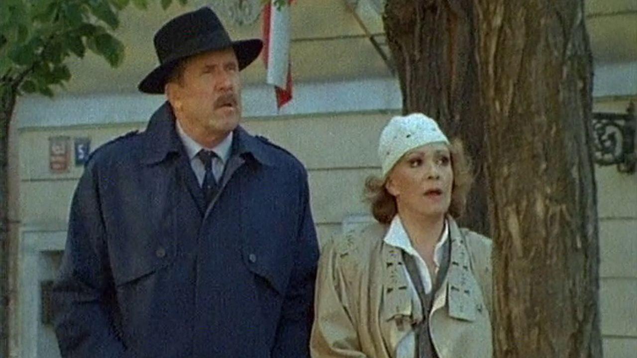 Chief, There Is a Horse in the Backyard 1990 movie scene