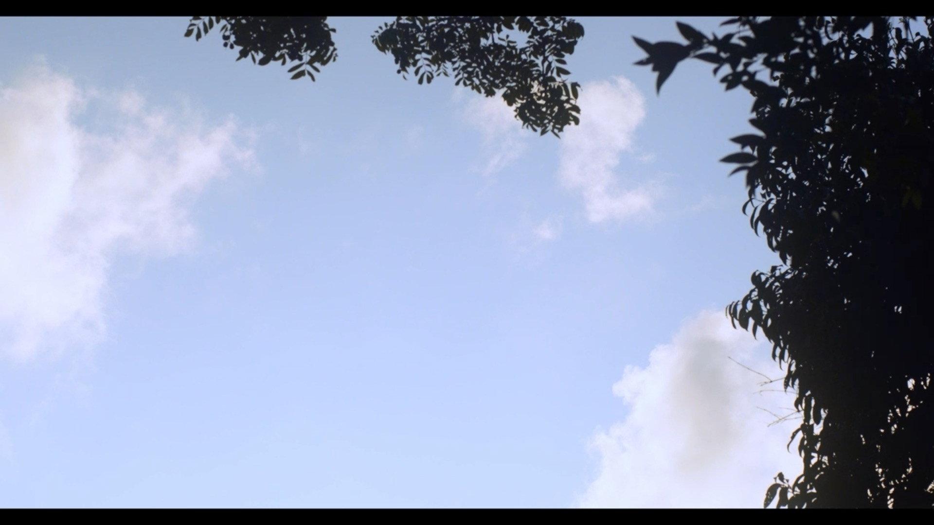 15 Dias 2022 movie scene