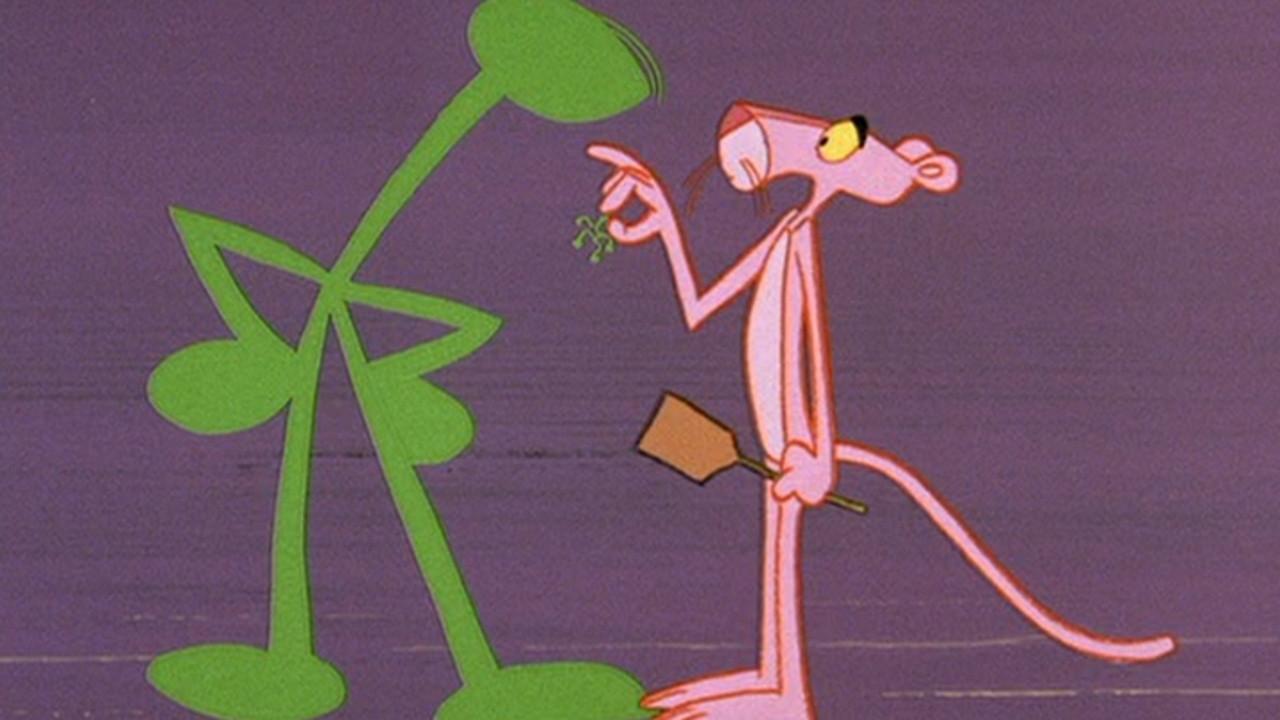 Pink Punch 1966 movie scene