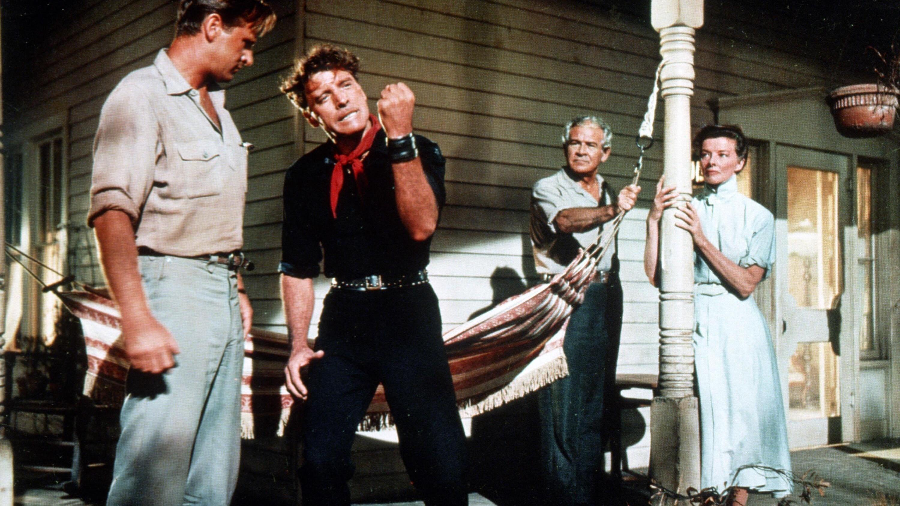 The Rainmaker 1956 movie scene