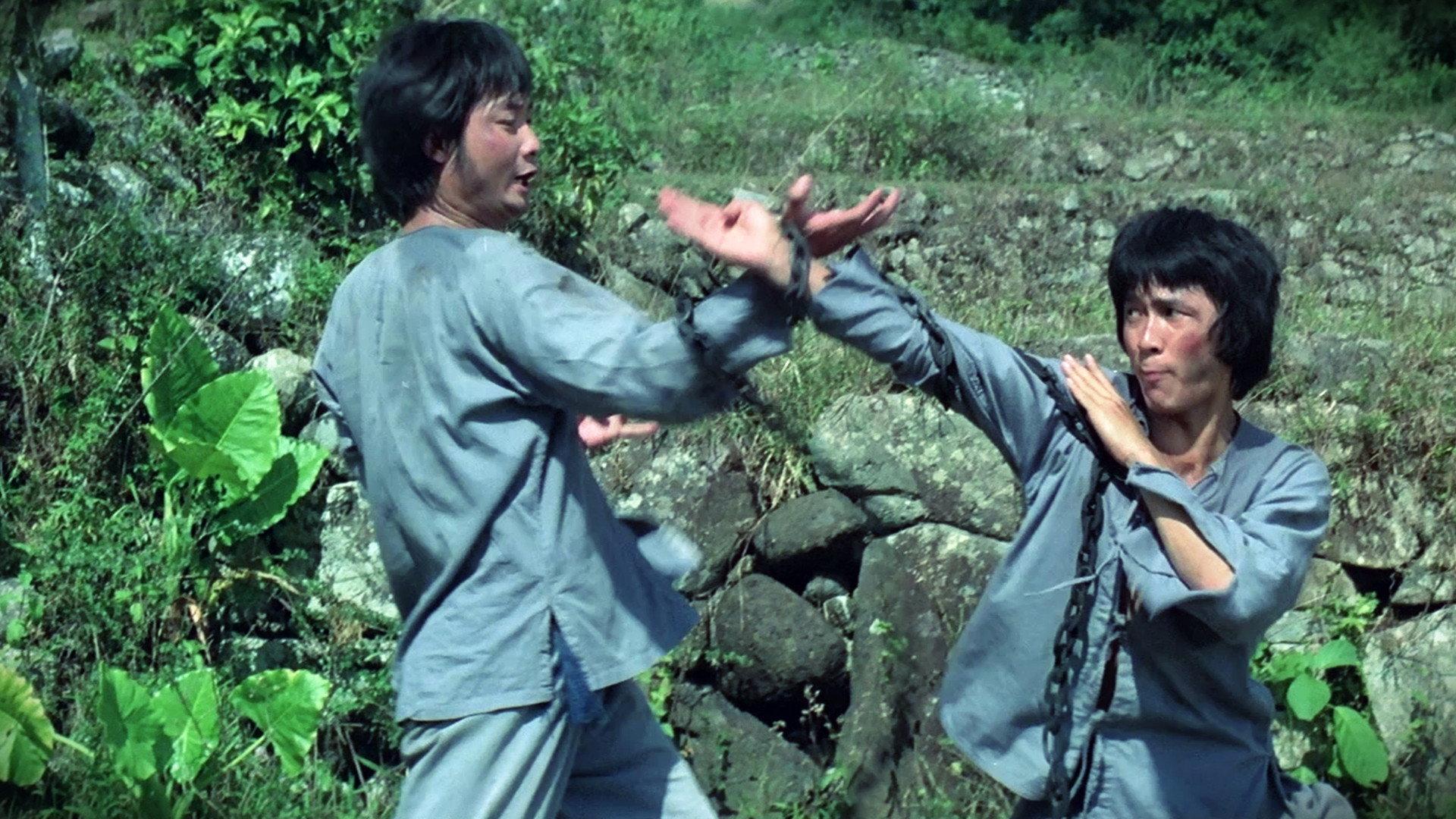 Monkey Kung Fu 1979 movie scene