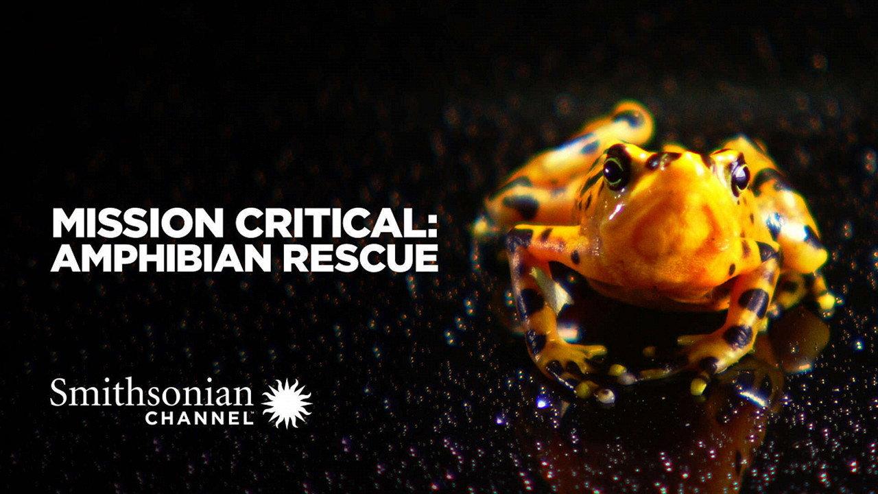 Mission Critical: Amphibian Rescue 2011 movie scene