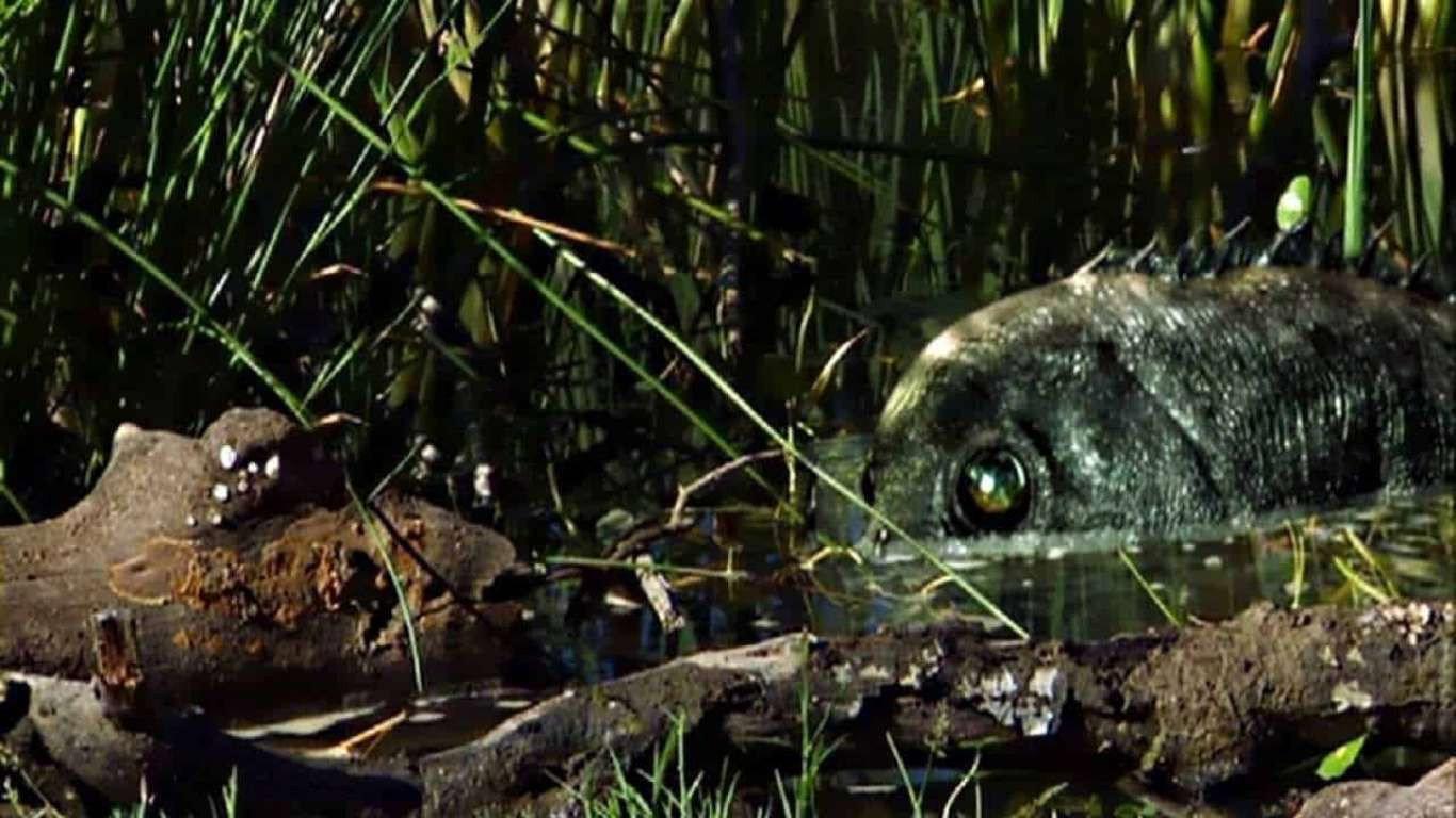 Razortooth 2007 movie scene