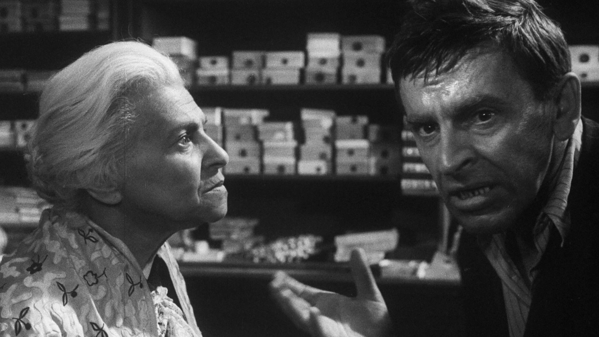 The Shop on Main Street 1965 movie scene
