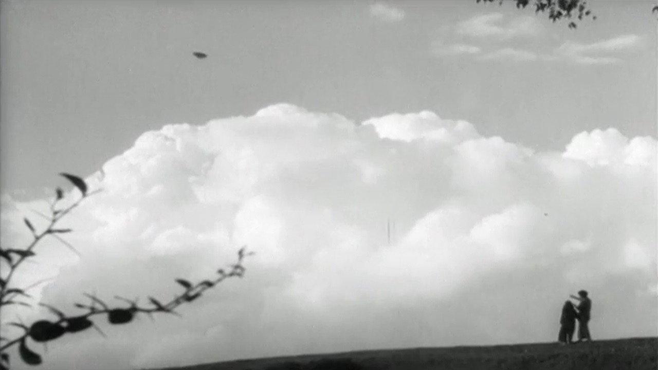 The Passerine Bird 1962 movie scene
