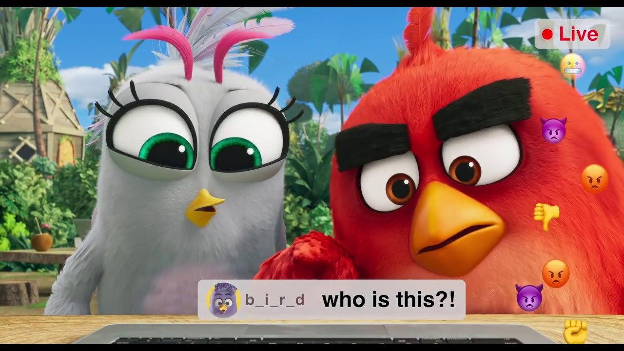 Angry Birds: Live Stream 2019 movie scene