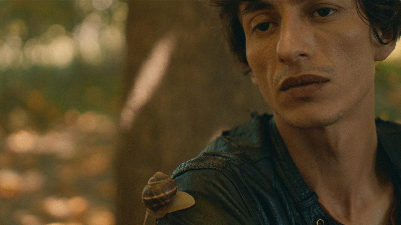 The Snail Room movie scene
