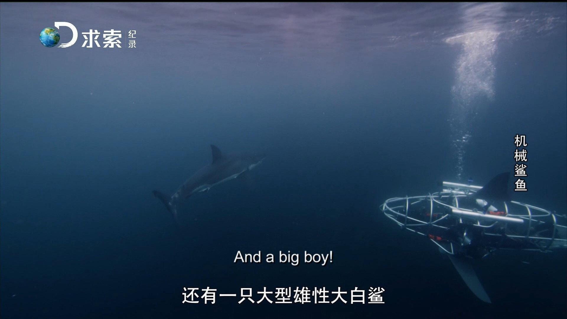 Mechashark: Love Down Under 2022 movie scene