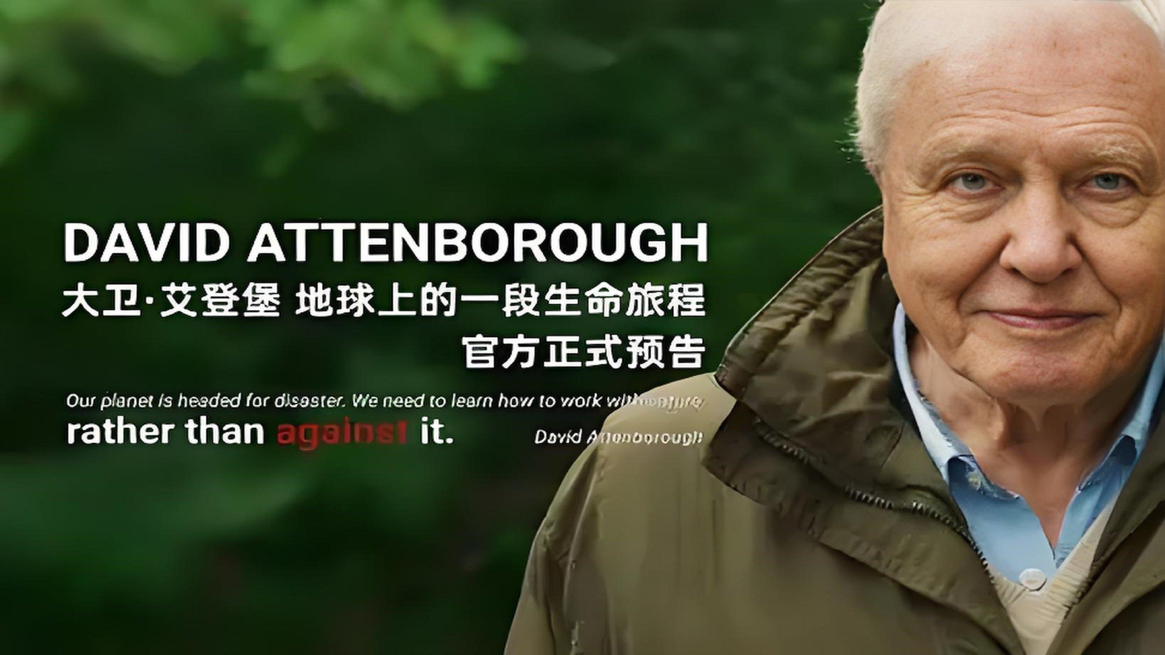 David Attenborough: A Life on Earth 2023 movie scene