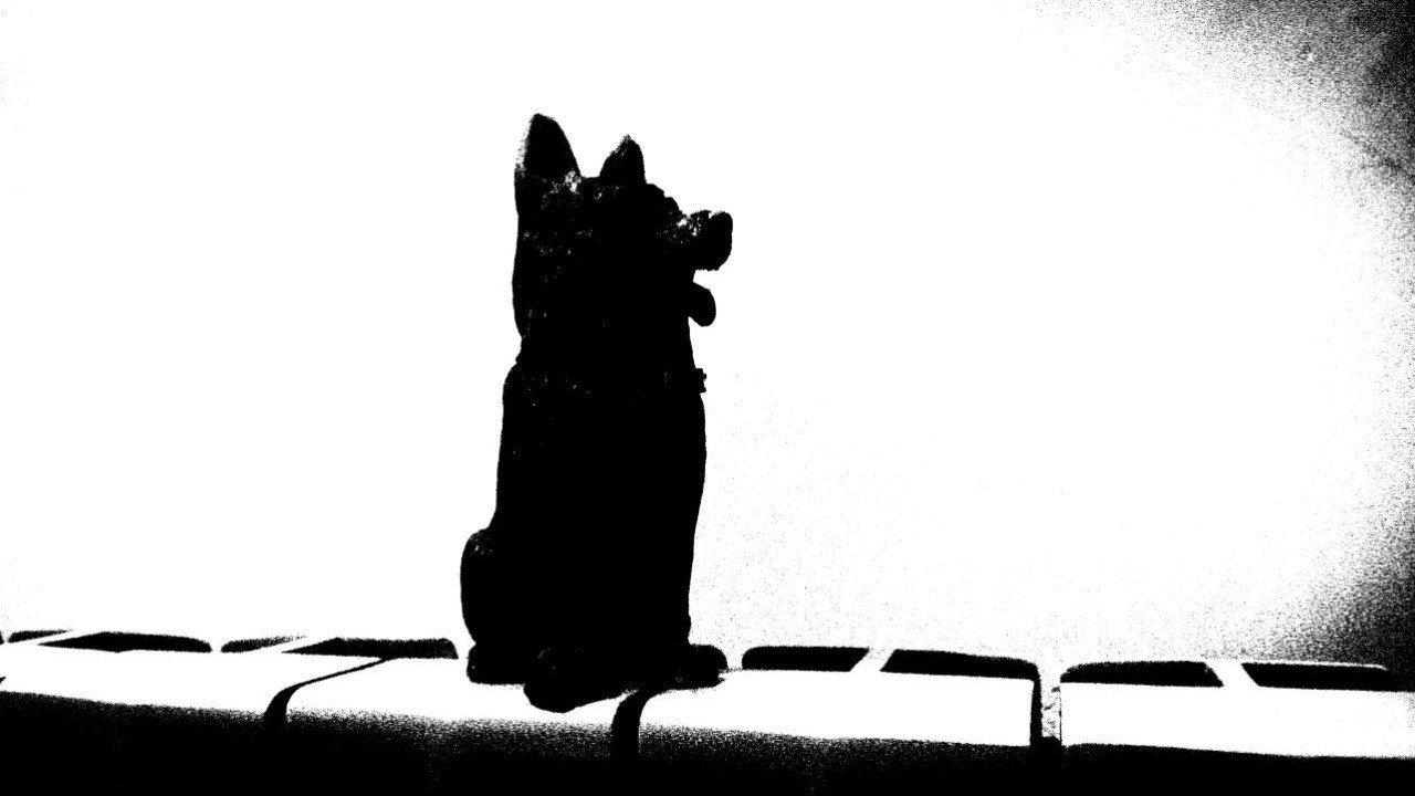 The Dog of Sarandi Alley 2021 movie scene
