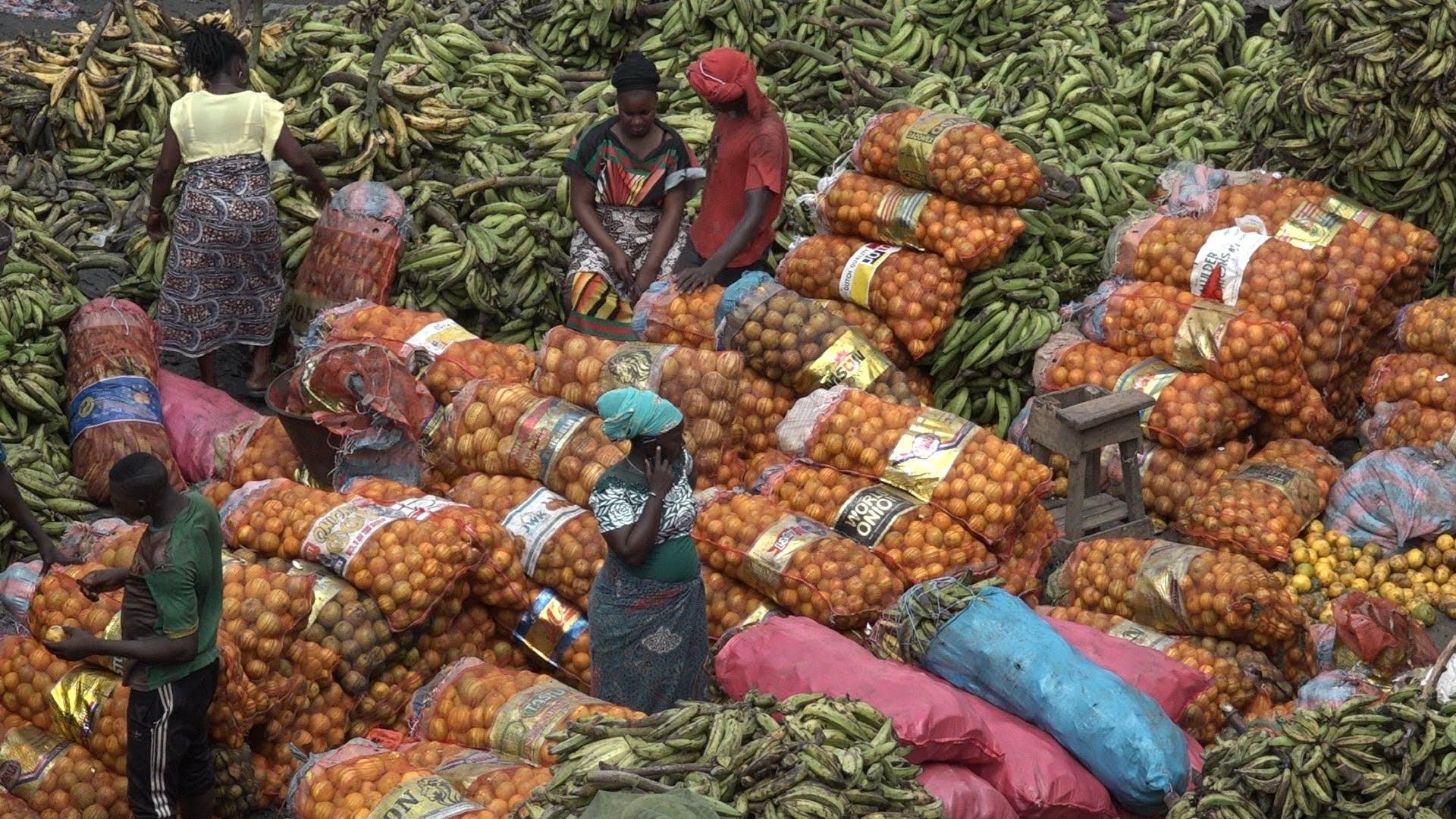Women's Africa 2022 movie scene