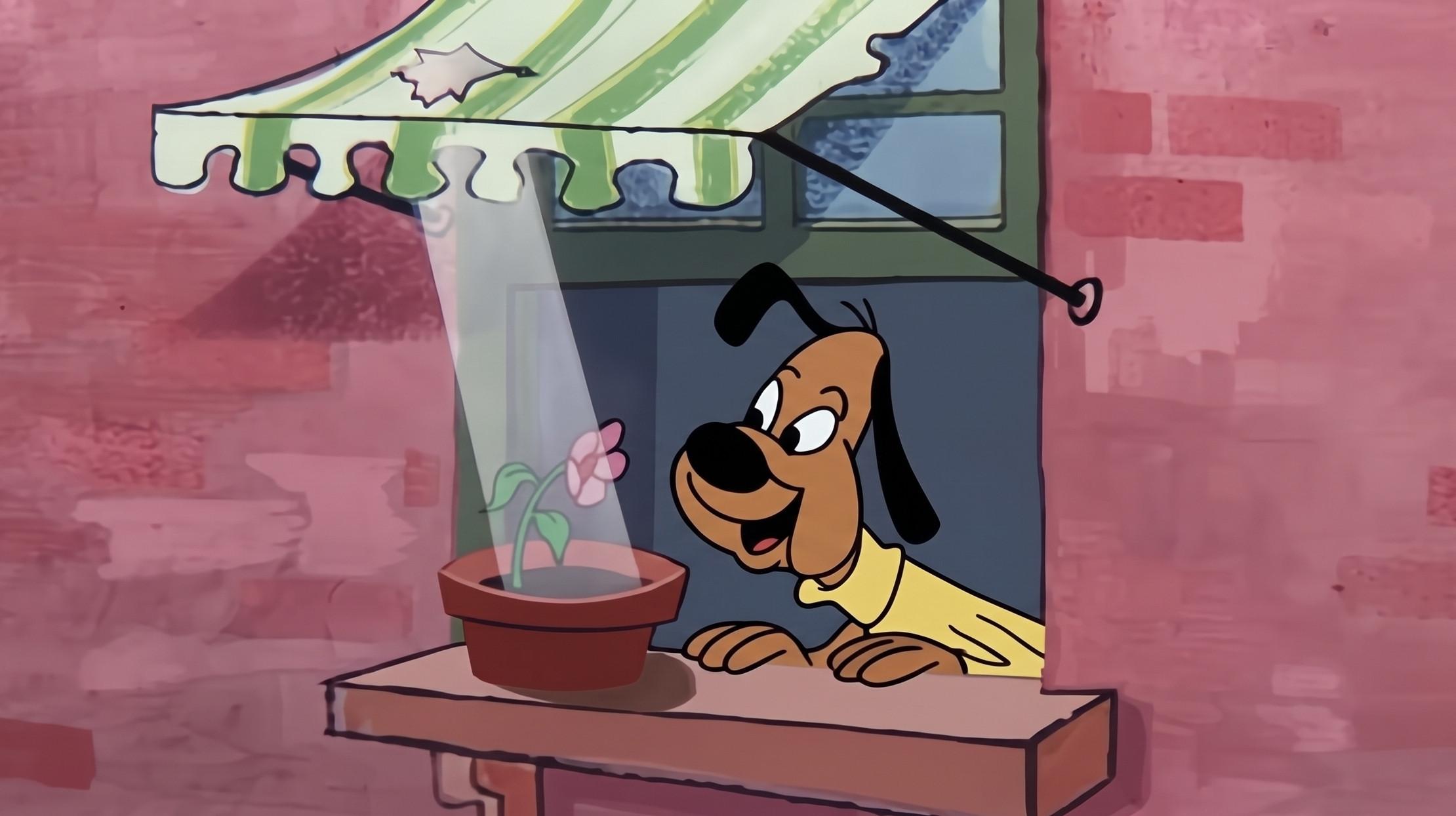 The Leaky Faucet 1959 movie scene