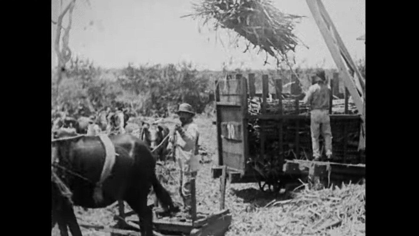 Hawaiian Islands 1907 movie scene