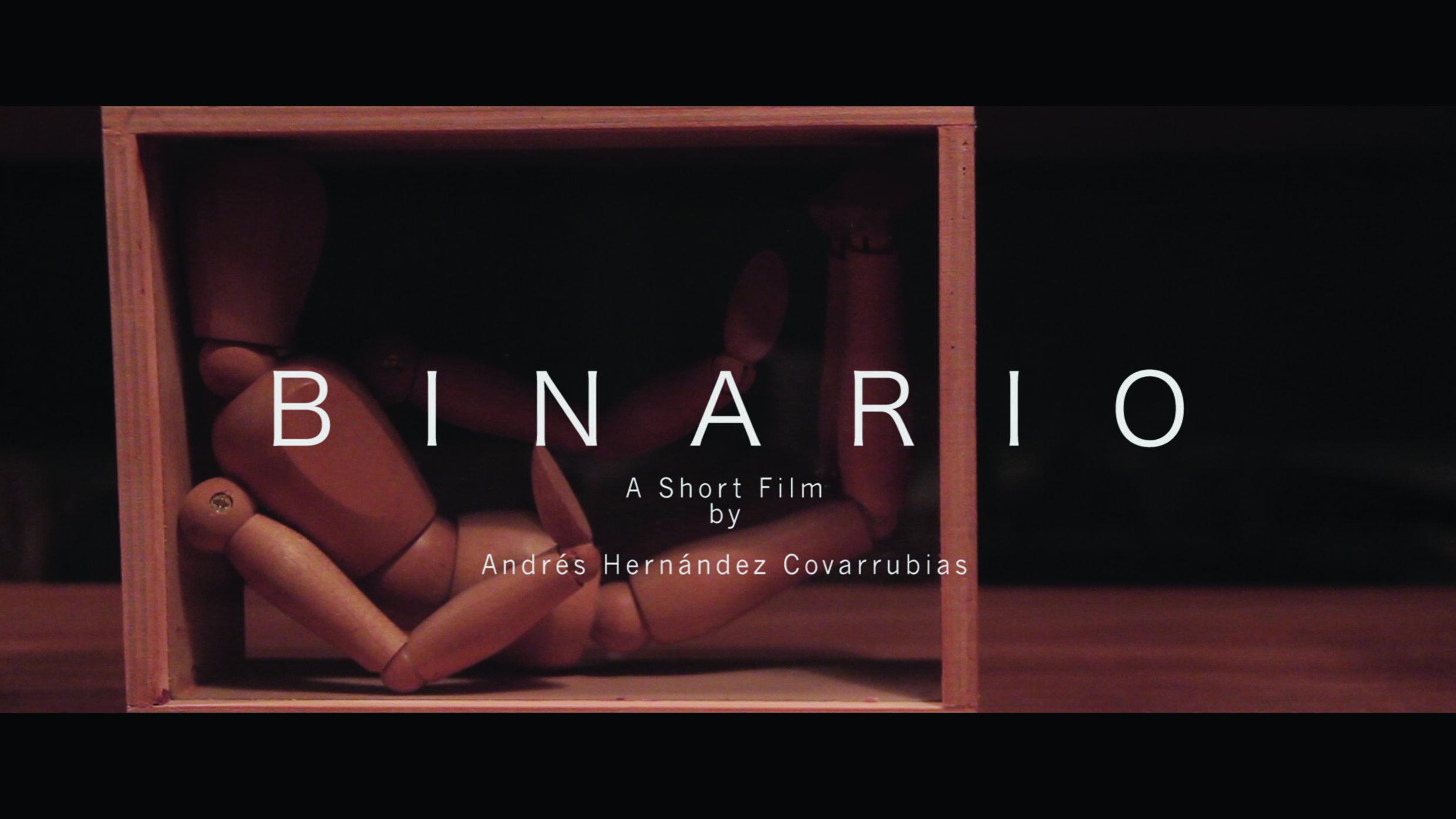 Binary 2015 movie scene