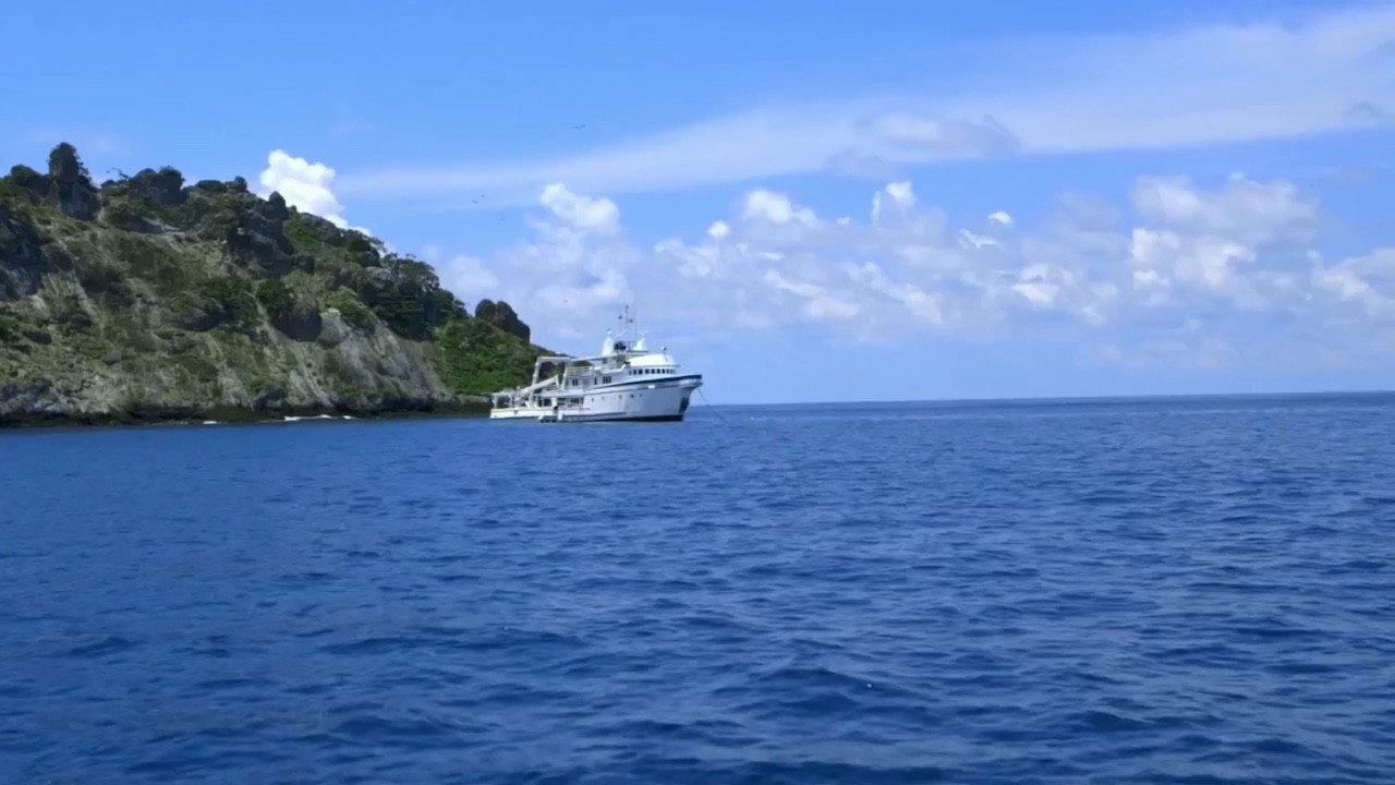 Shark Land: Welcome to Cocos Island 2015 movie scene