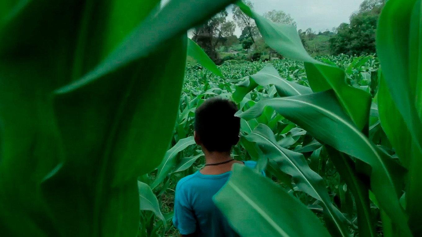 Tecuani, Hombre Jaguar 2017 movie scene