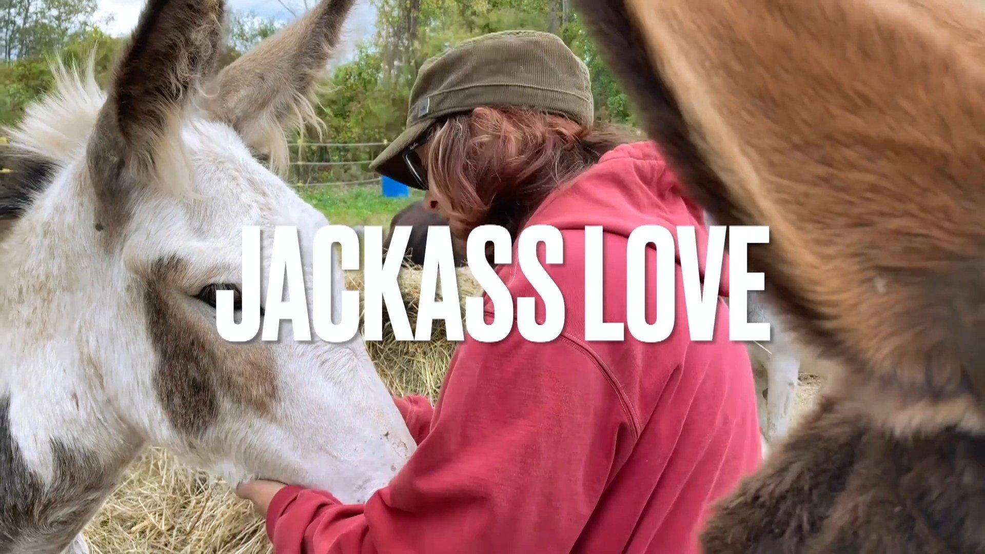 Jackass Love 2023 movie scene
