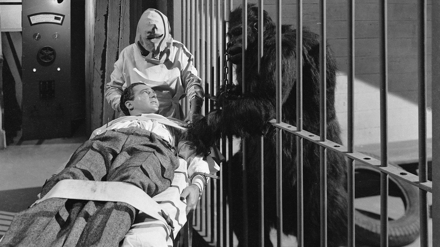 The Strange Case of Doctor Rx 1942 movie scene