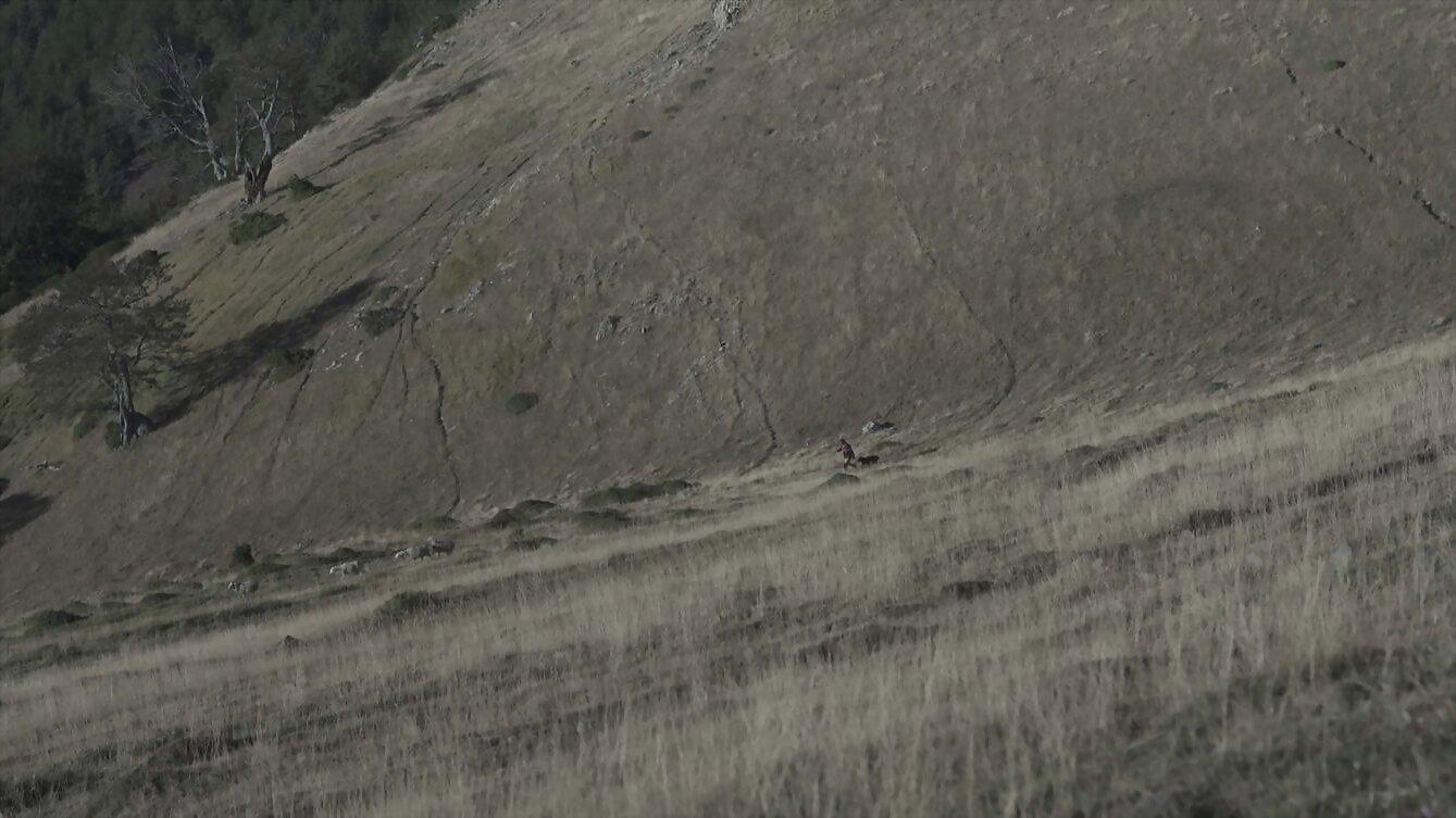 Medvedek 2019 movie scene