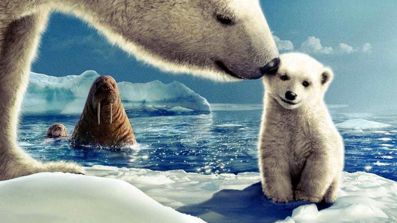 Arctic Tale 2007 movie scene