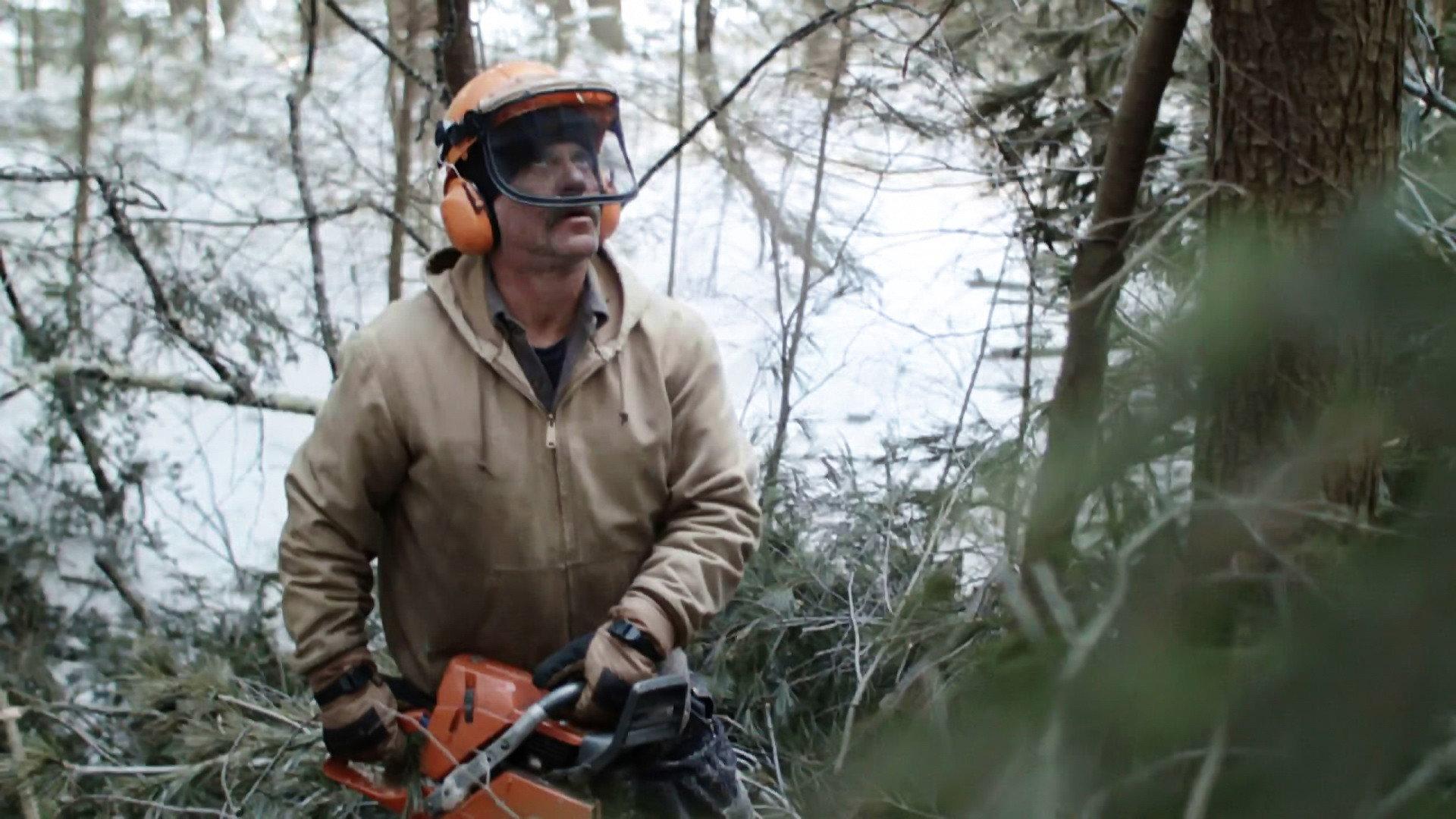 Bob and the Trees 2015 movie scene