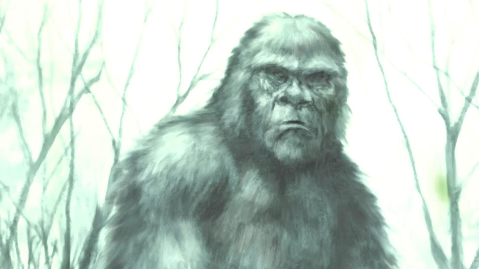 Boggy Creek Monster 2016 movie scene