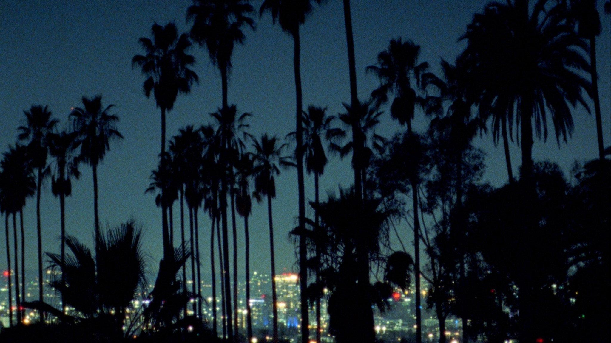 Palm 2026 movie scene