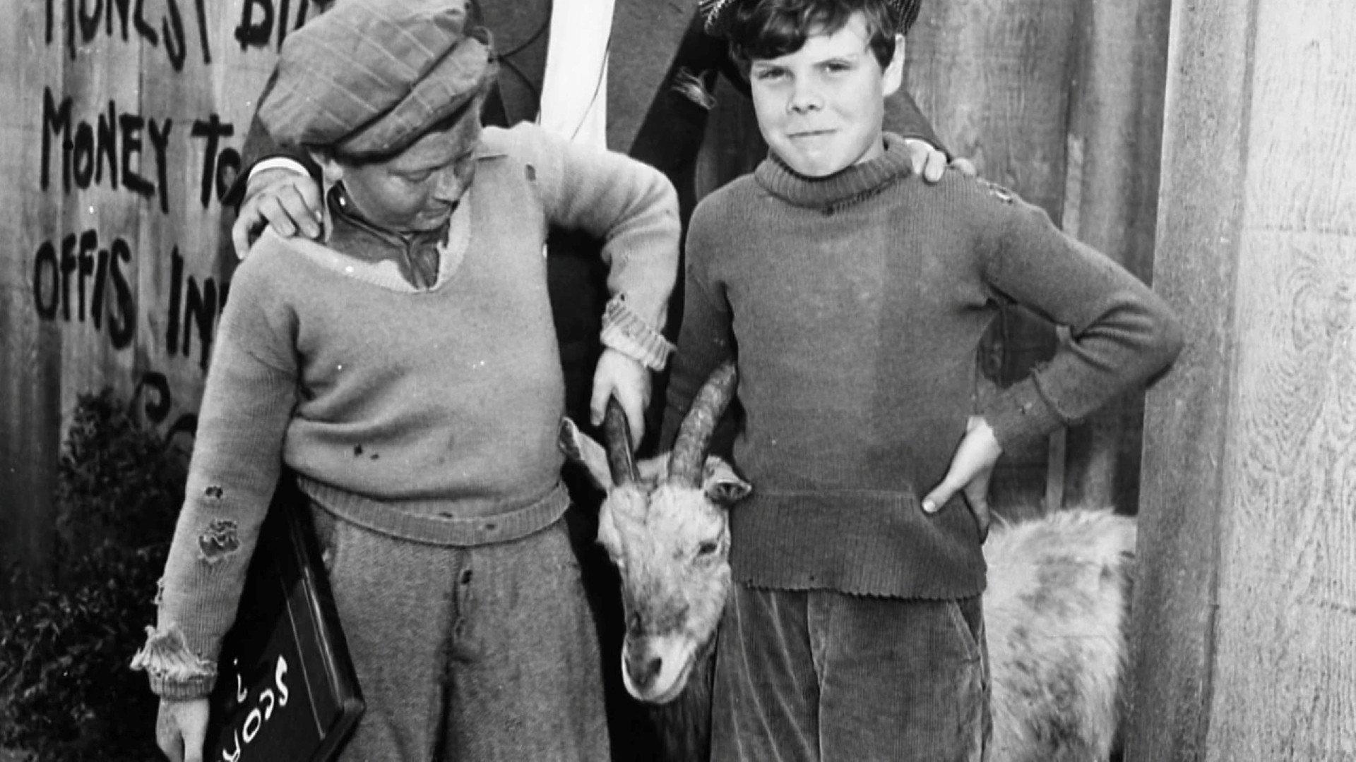 Dog Daze 1939 movie scene