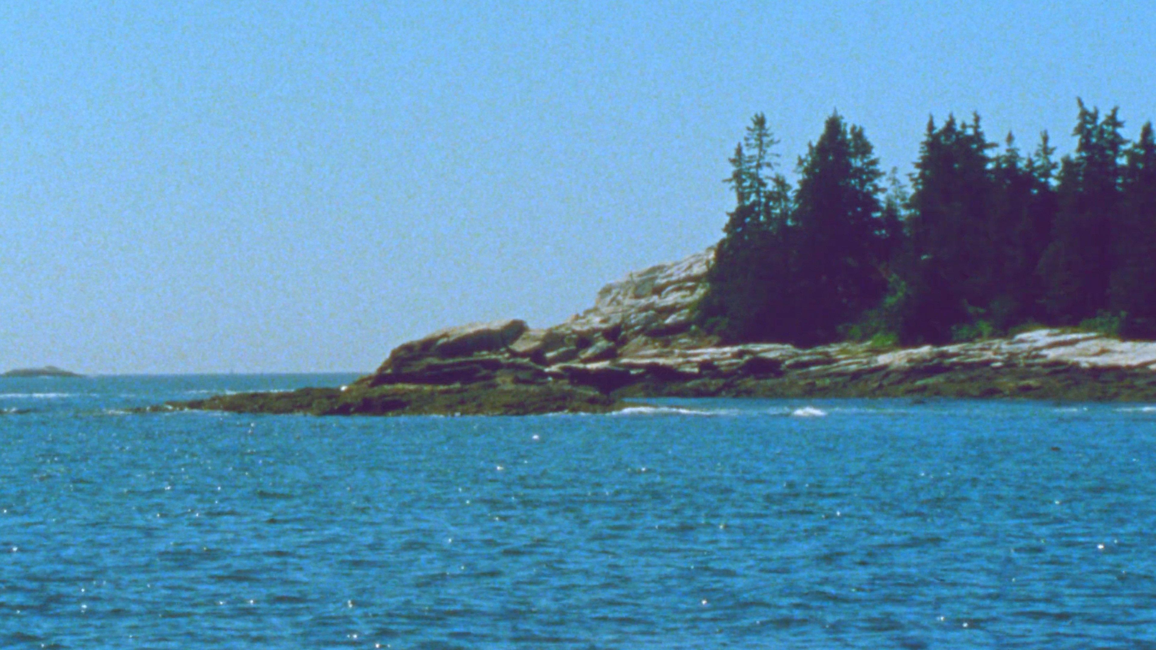 The Seashore 2023 movie scene