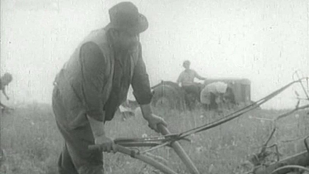 Boundary 1973 movie scene