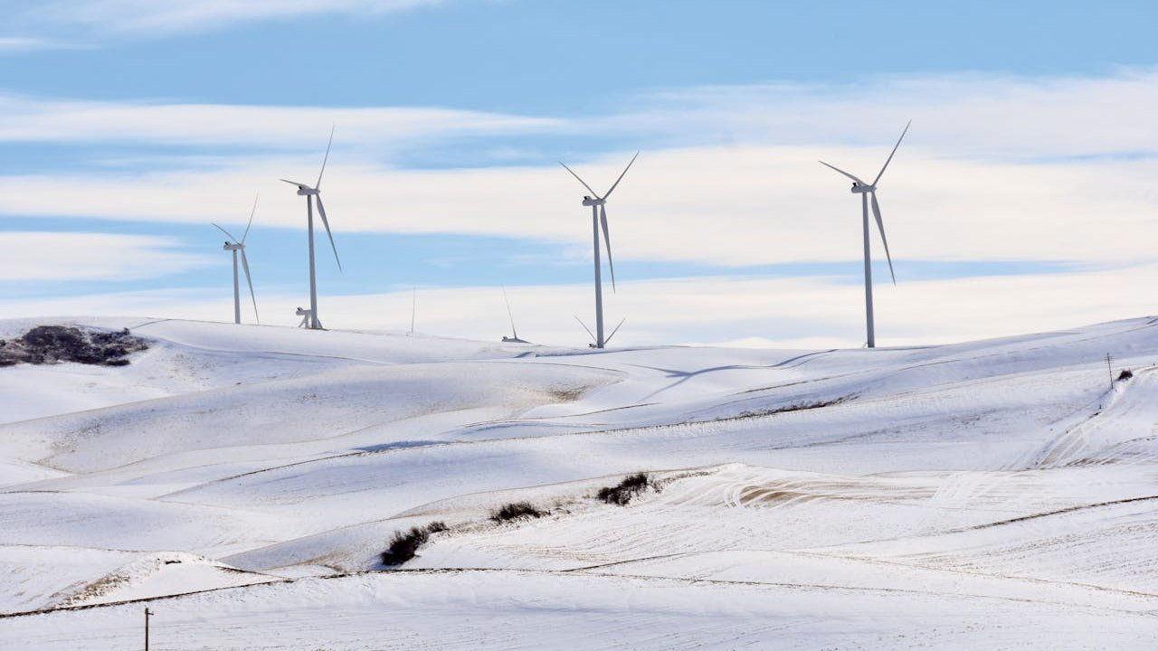 Climate: The Movie (The Cold Truth) 2024 movie scene