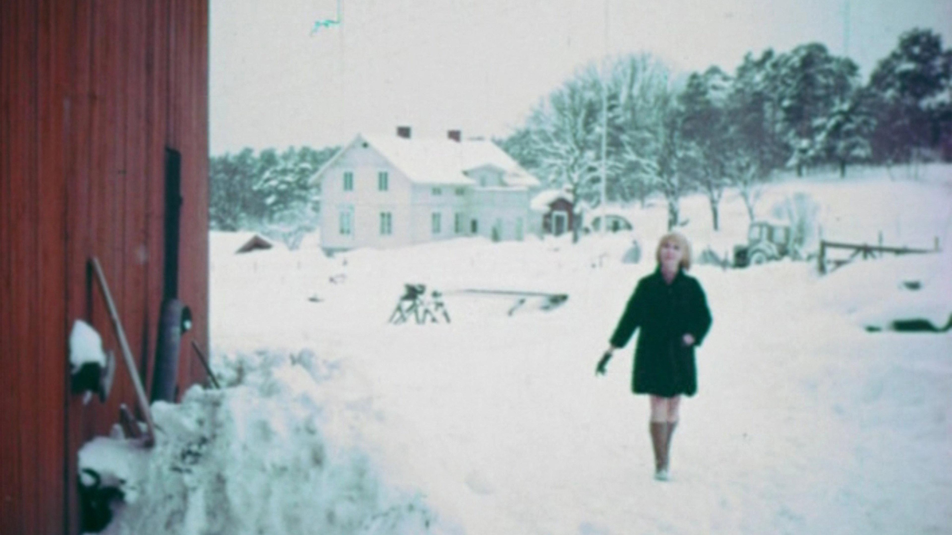 The Indelicate Balance 1969 movie scene