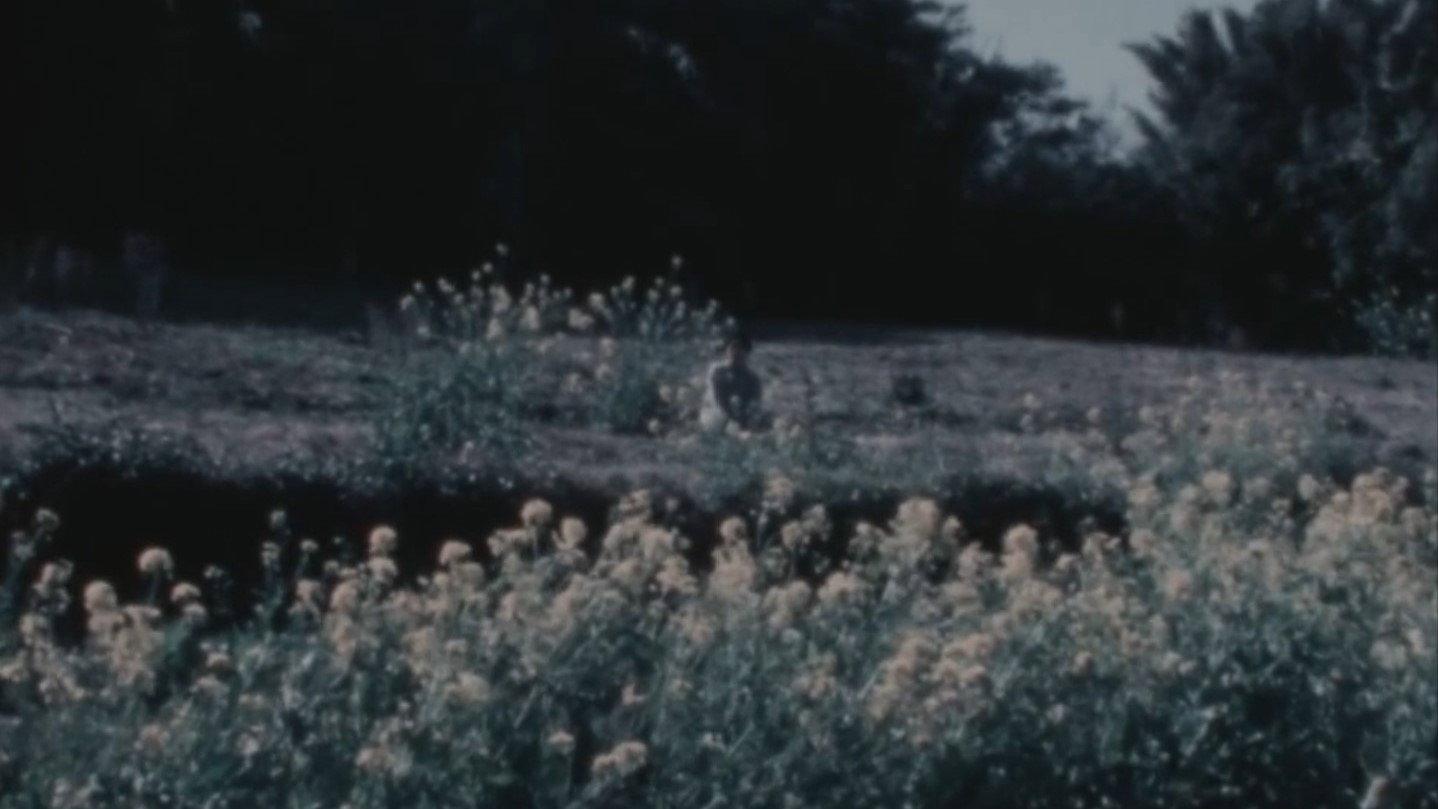 Open Eyes 2012 movie scene