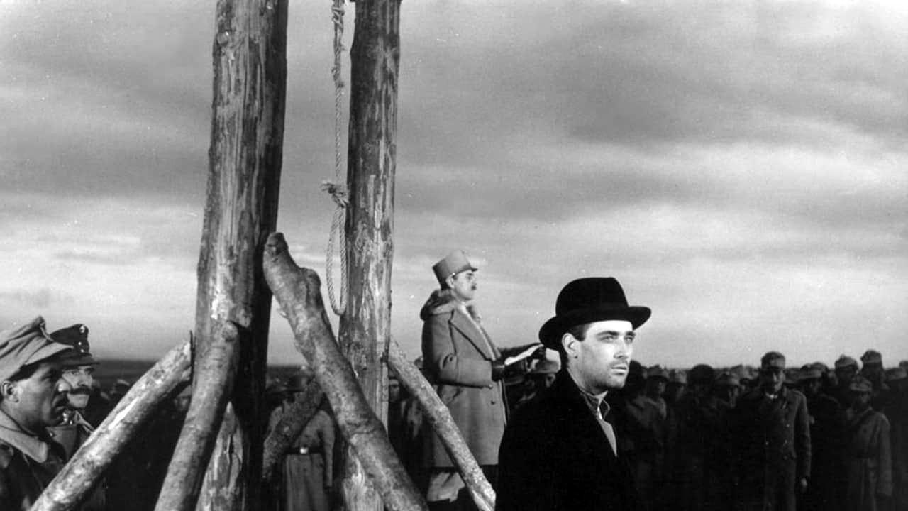 Forest of the Hanged 1965 movie scene